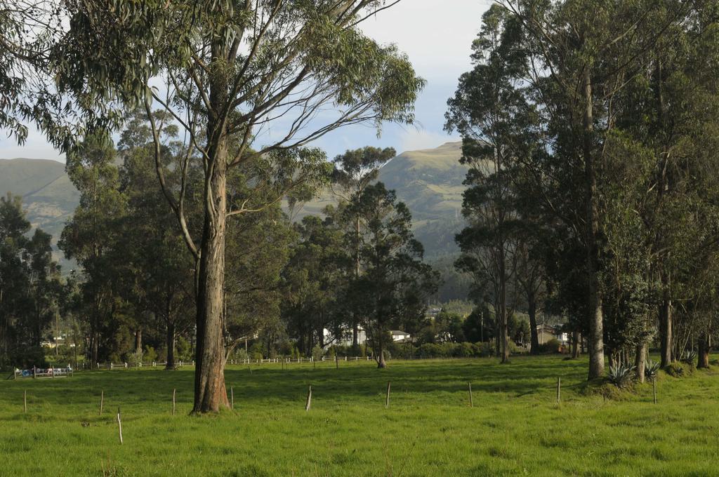 Molino San Juan Bed and Breakfast Cayambe Exterior foto