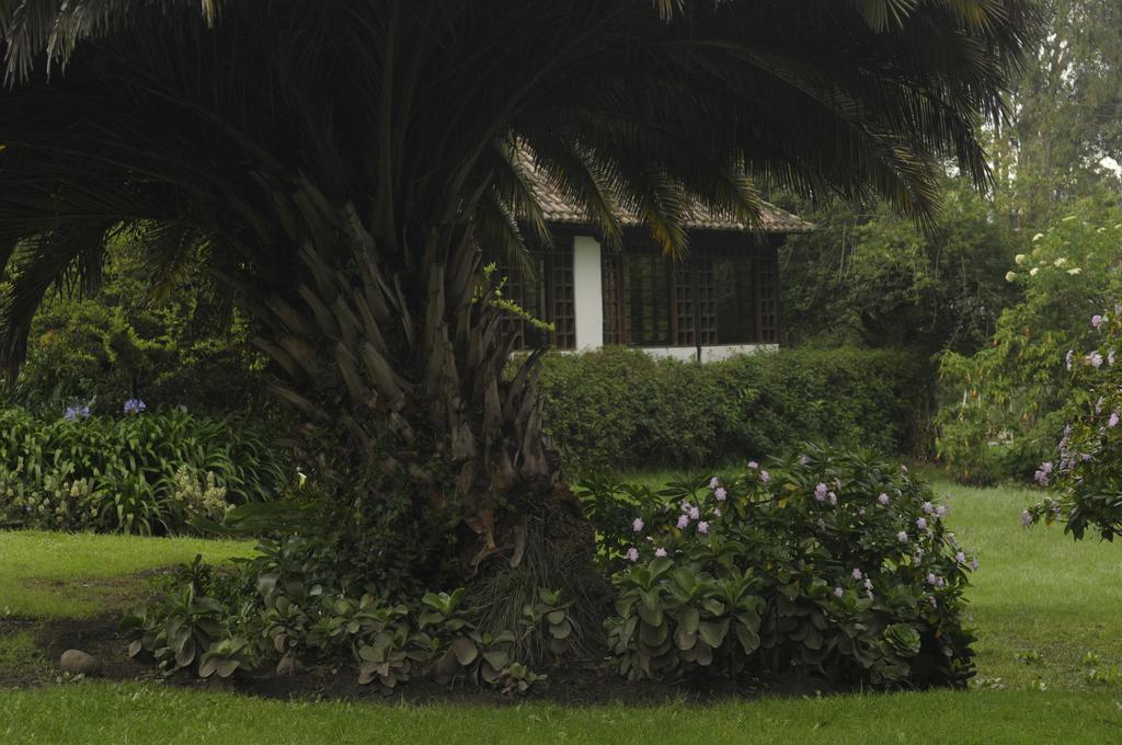 Molino San Juan Bed and Breakfast Cayambe Exterior foto