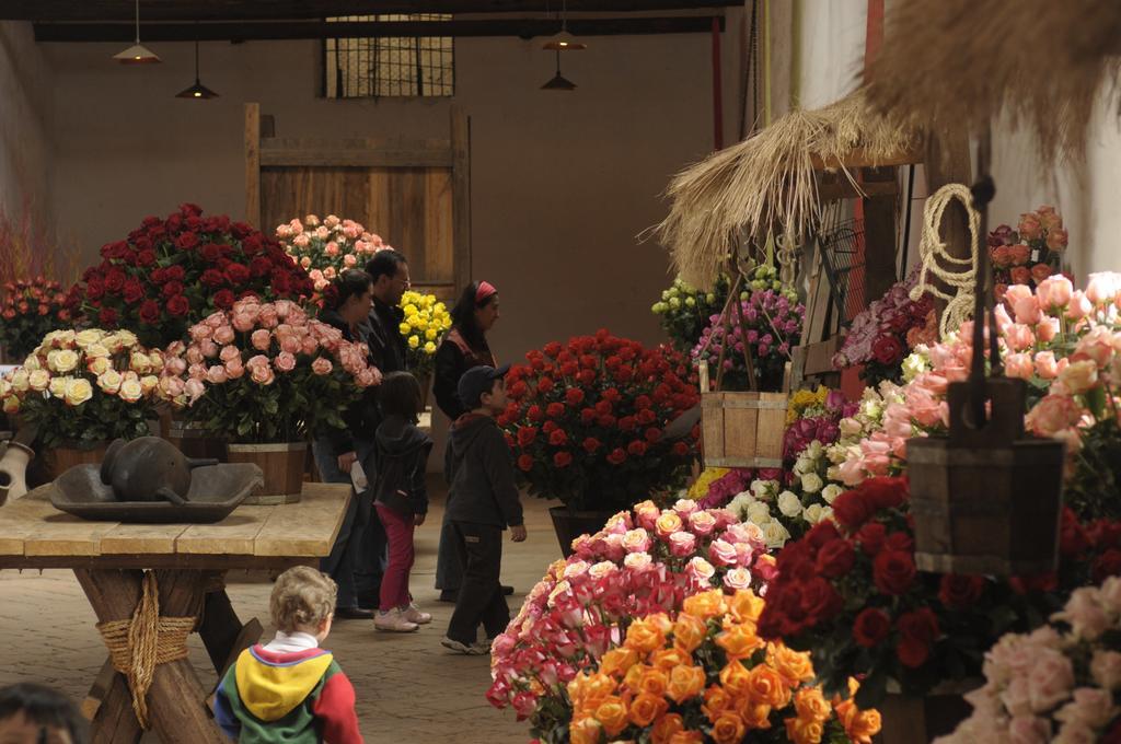 Molino San Juan Bed and Breakfast Cayambe Exterior foto
