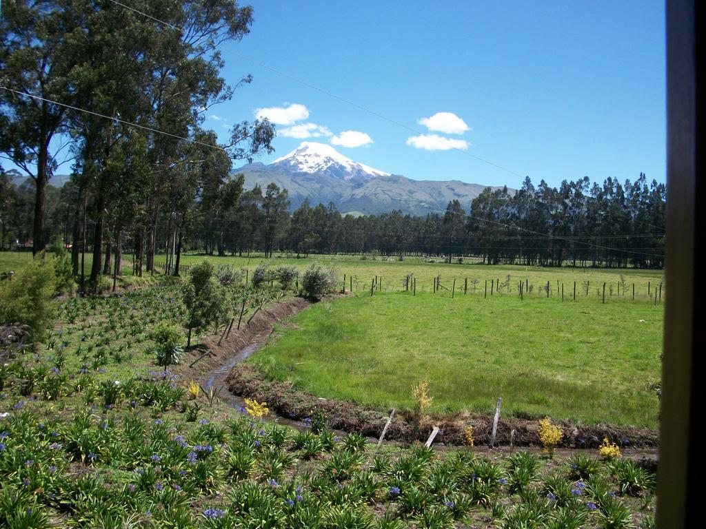 Molino San Juan Bed and Breakfast Cayambe Exterior foto